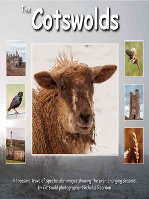 cover image of The Cotswolds